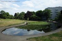 Volkspark am Weinberg Teich